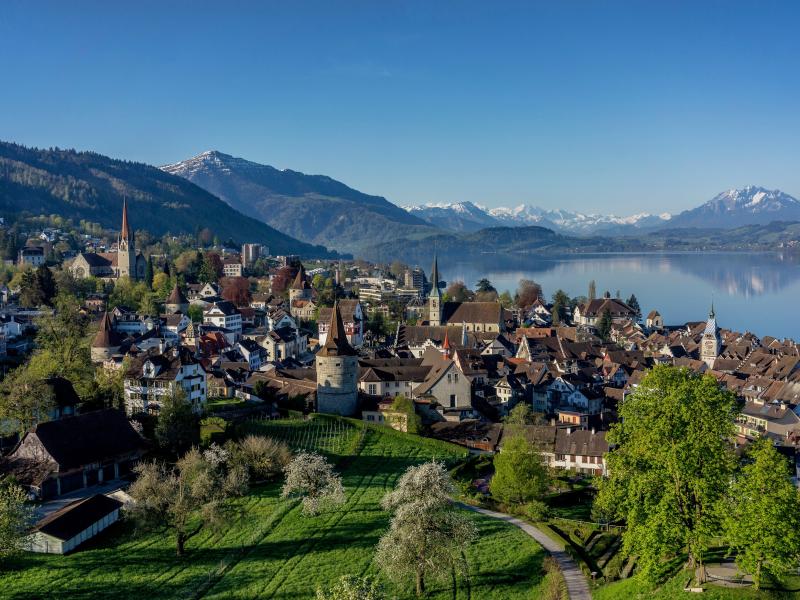 Zug der Unendlichkeit Endschlacht Rucksack mit Federmäppchen und Tasche - Demon Slayer™
